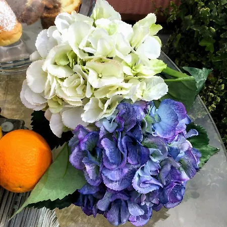 Bed & Breakfast A Due Passi