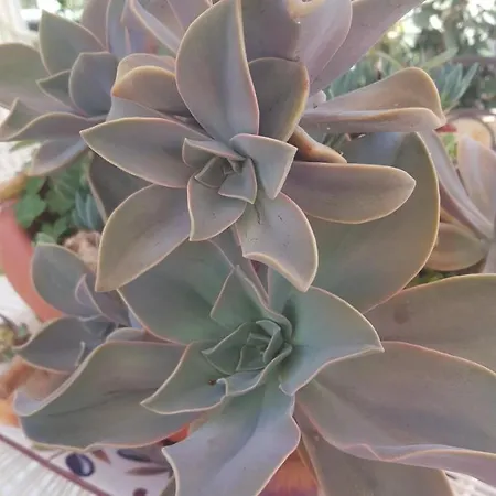 A Due Passi Bed & Breakfast 3*