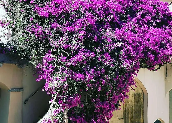 Couette-café A Due Passi Olbia