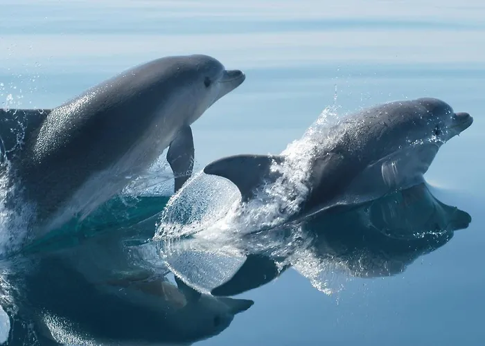 A Due Passi Couette-café 3*