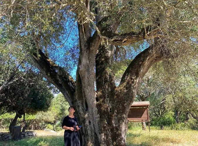 A Due Passi 3* Olbia