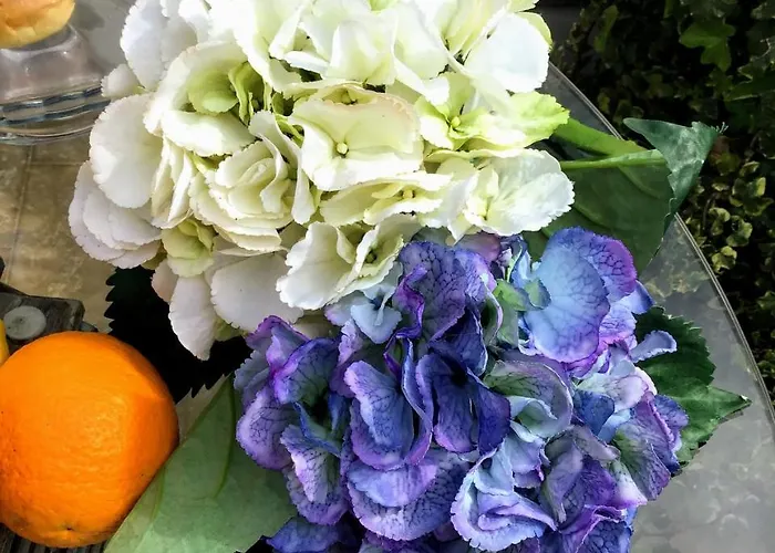 住宿加早餐酒店 A Due Passi