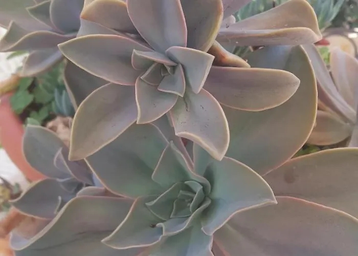 A Due Passi Couette-café 3*